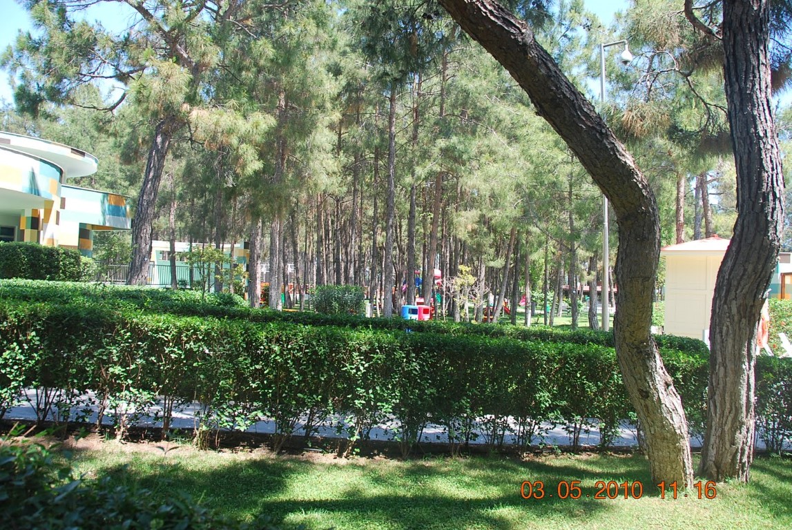 imagini hotel RIXOS SUNGATE